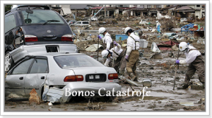 bonos_catastrofe